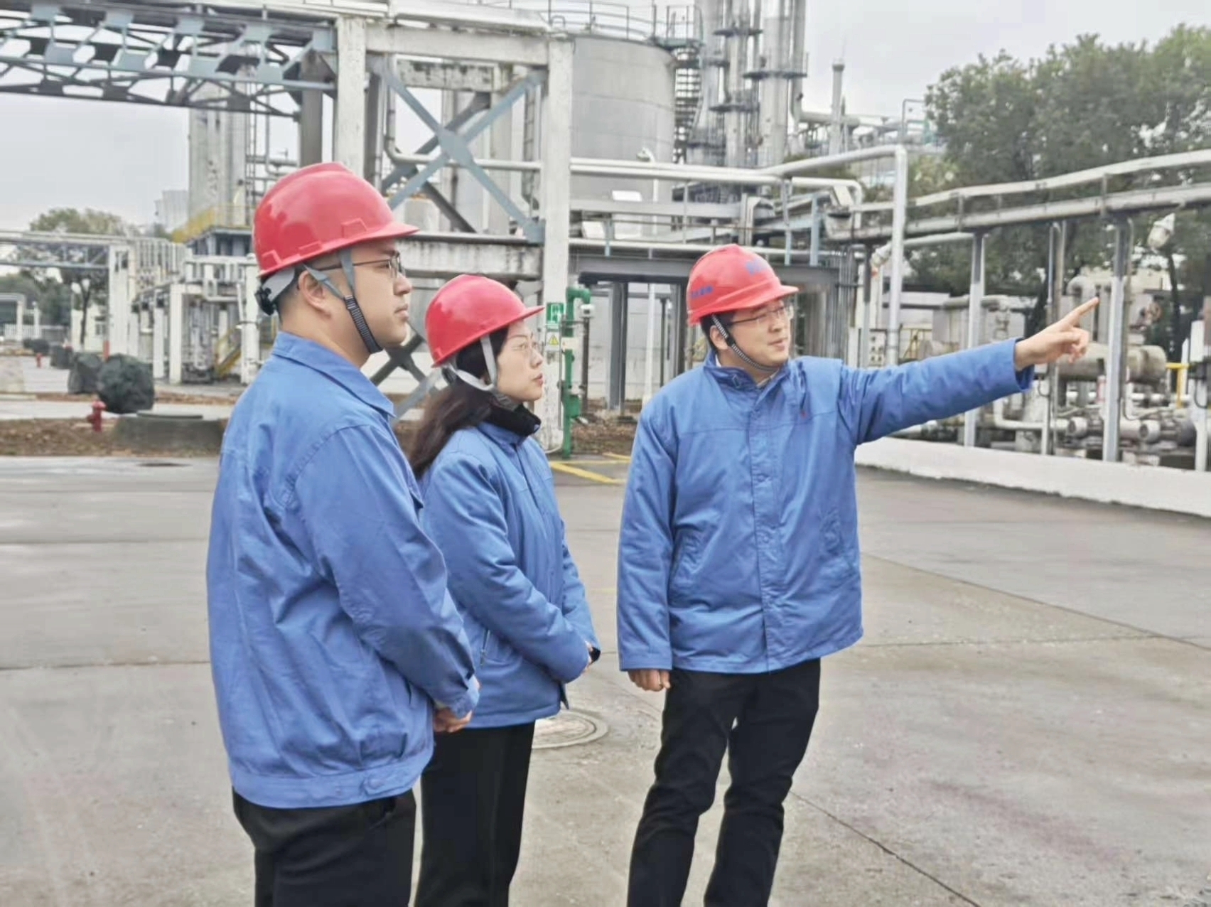 KS��ʱ��(�й���)�ٷ���վ