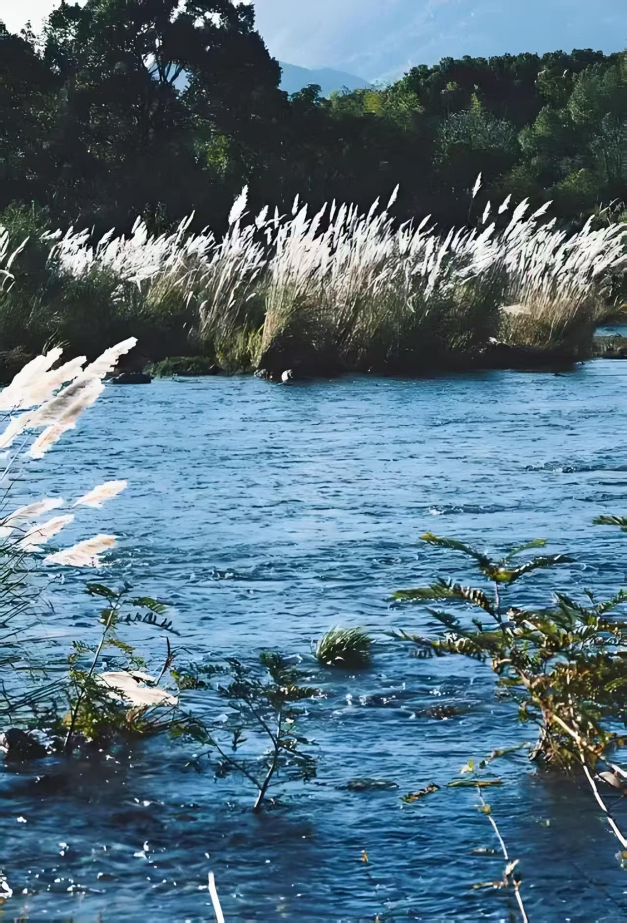 KS��ʱ��(�й���)�ٷ���վ